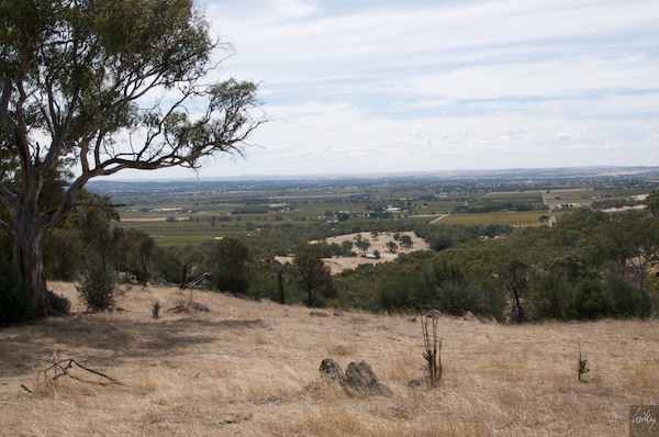 AustraliaEast 10  180-1